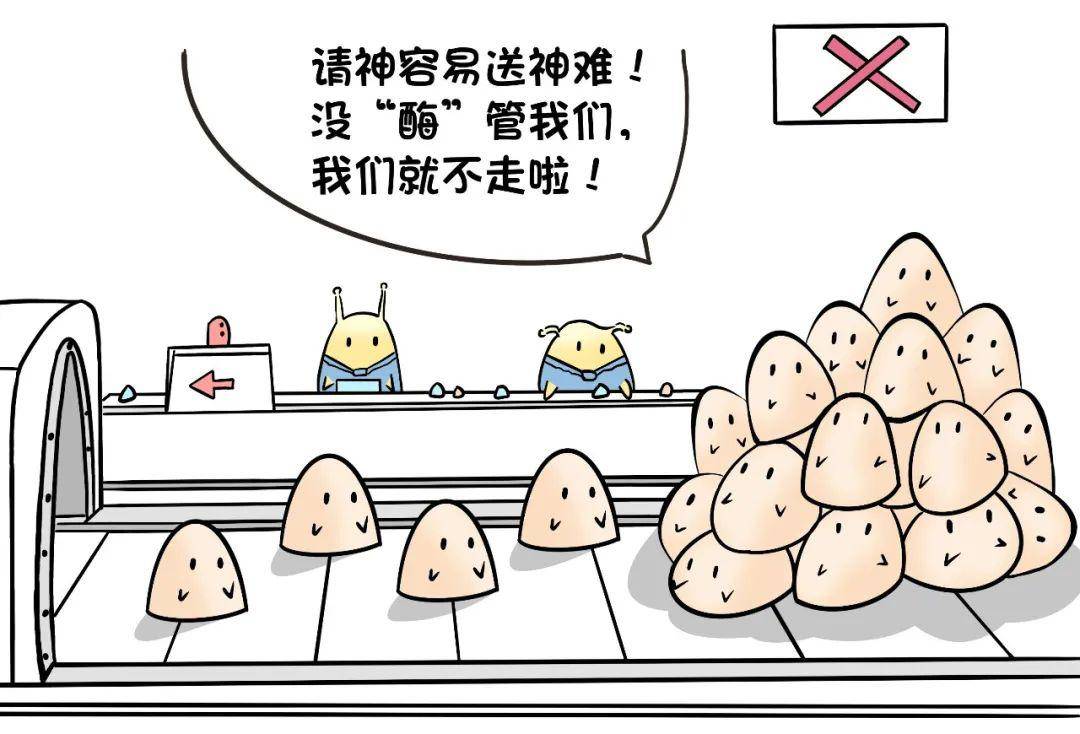 关爱什么？细胞也会消化不良？！｜国际黏多糖贮积症关爱日特别推送