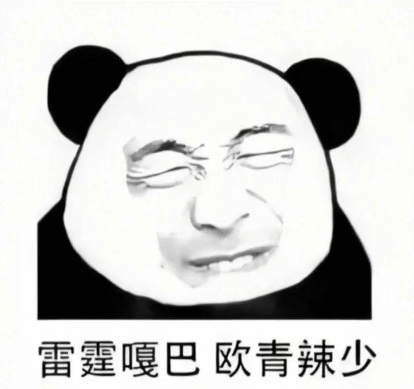 熊猫头表情包 i 正能量嗷  铁子!