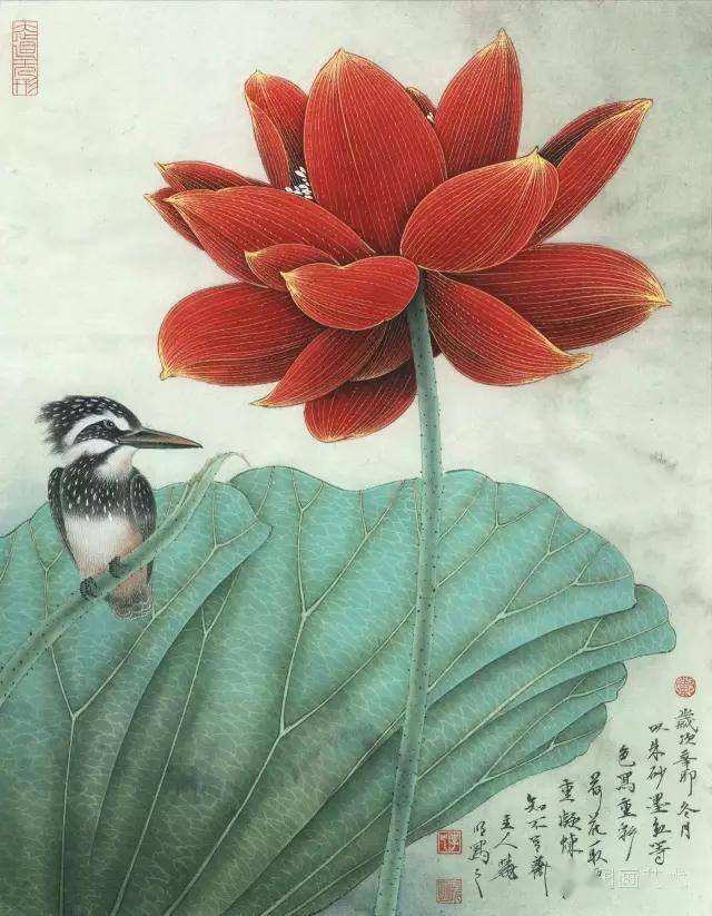 名家画荷:李晓明工笔荷花37张,百看不厌