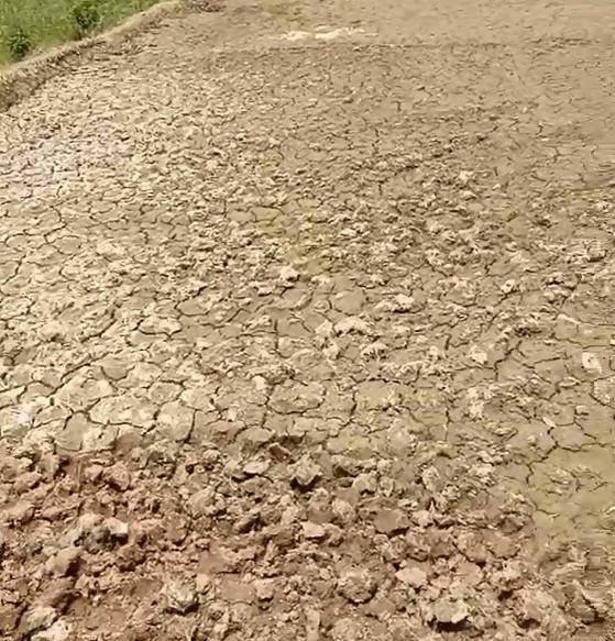 南部这里缺水严重,土地裂开,紧急求助