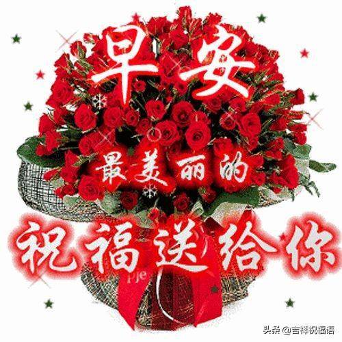 玫瑰花祝福早上好图片最新版早上好问候一句话