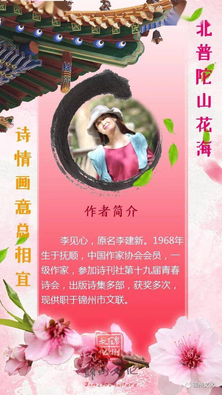 李见心北普陀山花海诗情画意总相宜