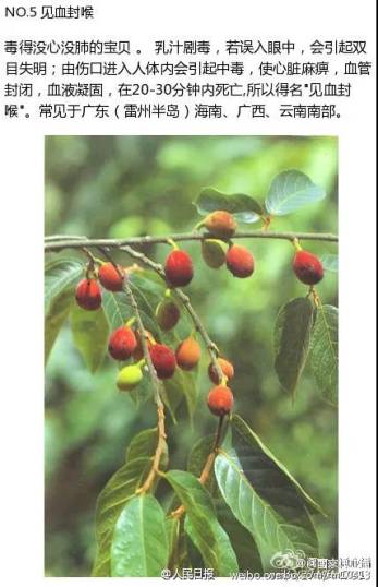#孩子#一人陷入昏迷！原因让人后怕警惕！4个男孩路边呕吐
