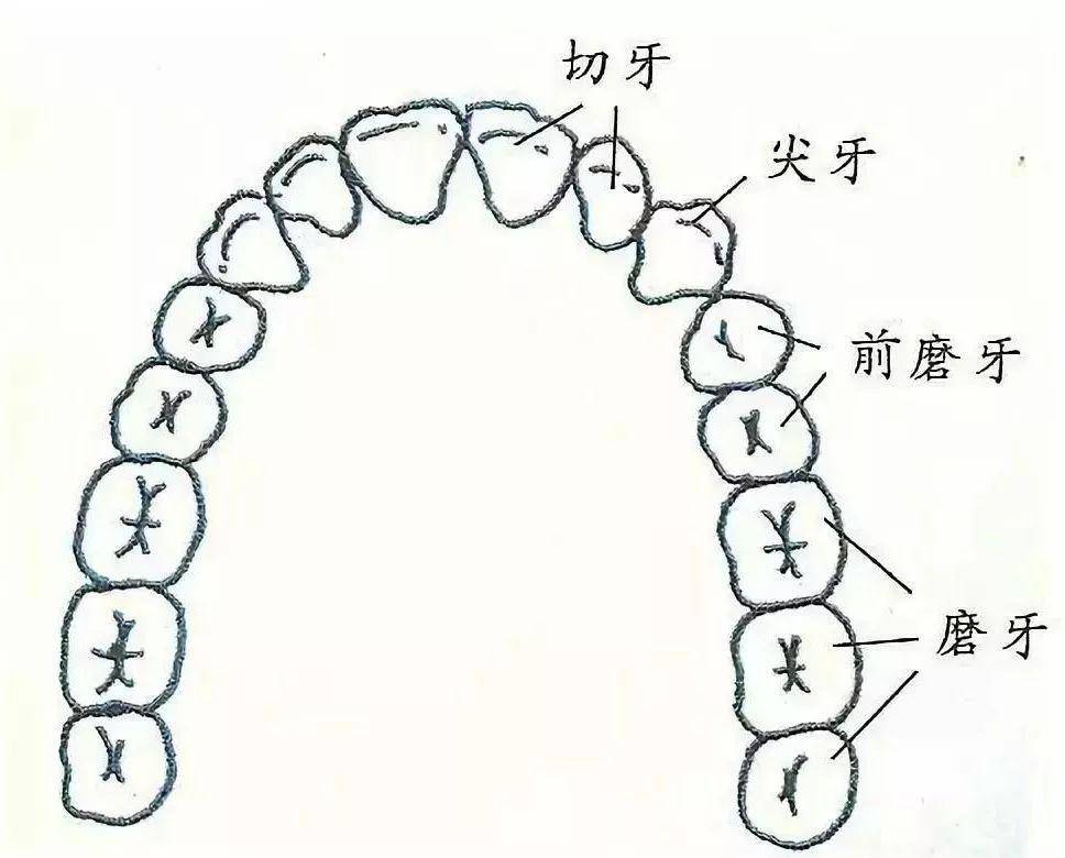 西到牙人口_西条高人图片(2)