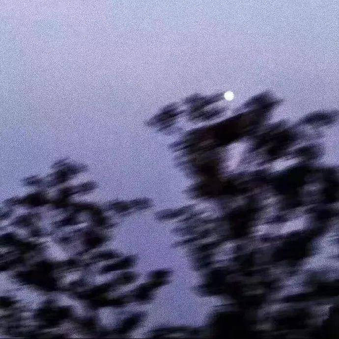 背景图 | 爱吃醋占有欲强的人真的傻