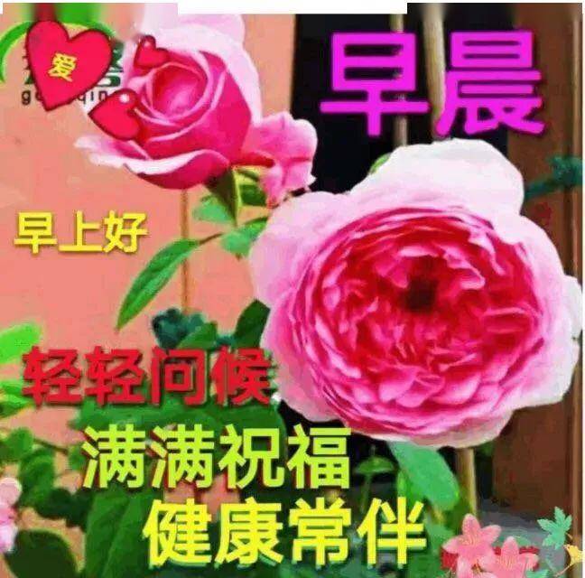 5月18日最漂亮早上好动态表情图片大全,早晨好动图美图大全