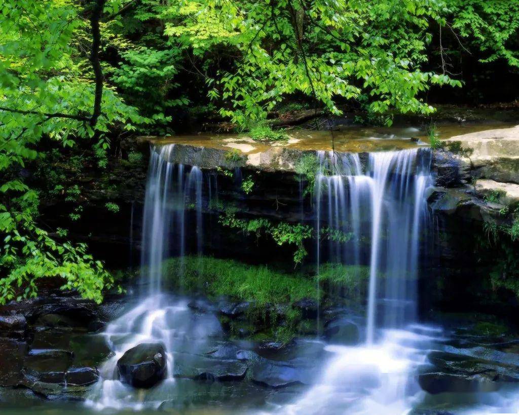 为什么一盆水放久了会发臭?而流水却能保持清新透亮？_搜狐网