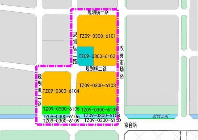 台湖镇人口规划_长丰县水湖镇规划图纸(3)