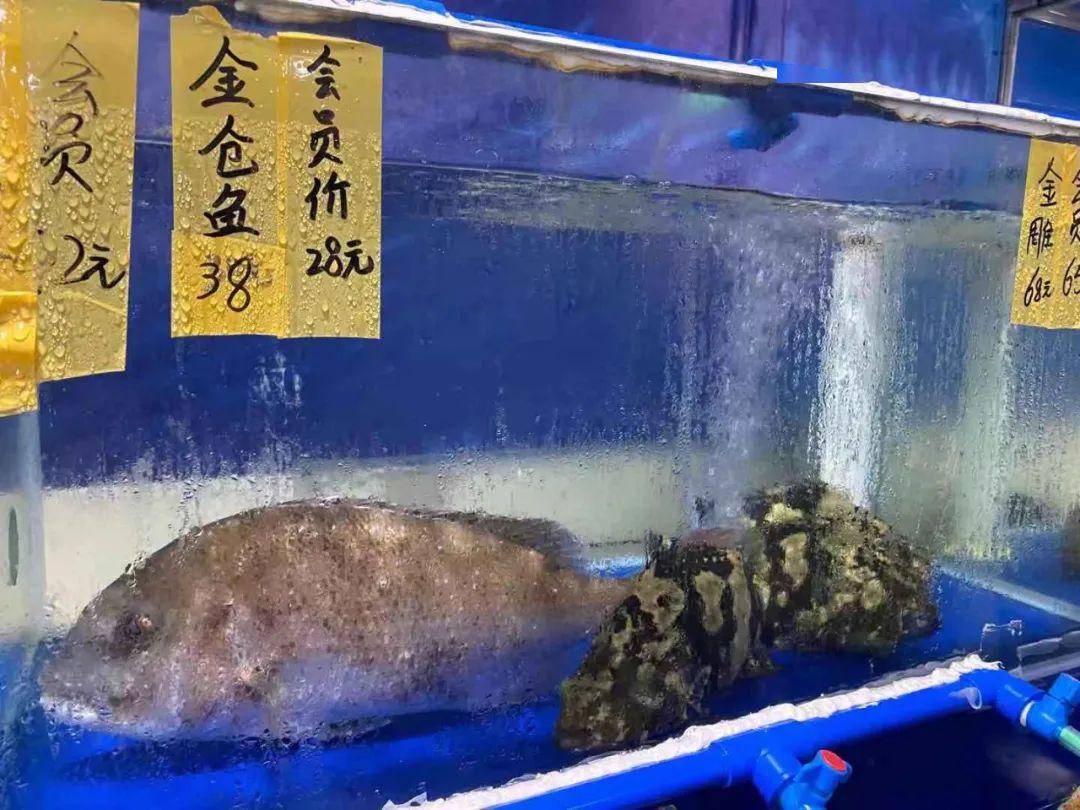 鱼虎云一猜一成语大全_一图一成语猜答案大全(2)