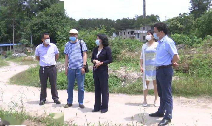 罗田县长郝爱芳检查优化营商环境工作