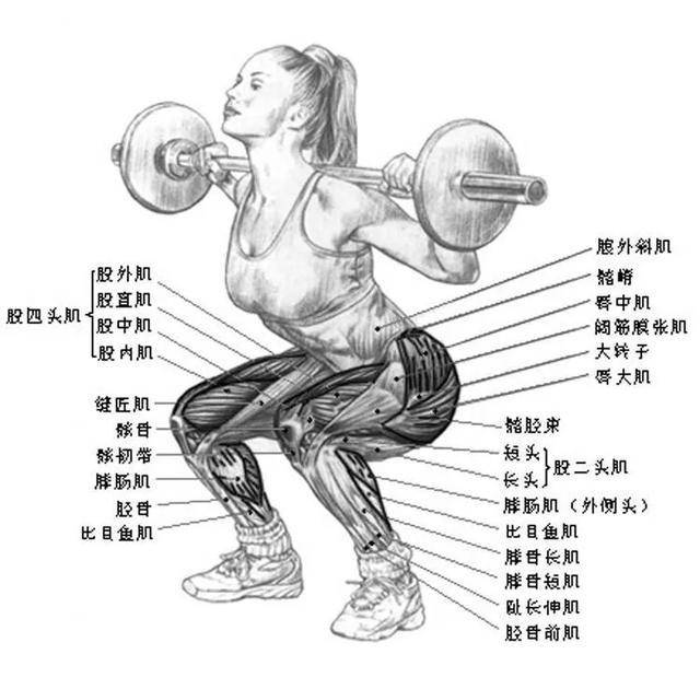减脂期怎么训练 1fdf25d24d8a4fe1a98f997c52ae0c7f.jpeg