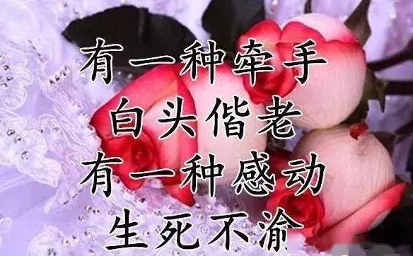7ab80ea5a090412d98e9d075e334c30d.jpeg