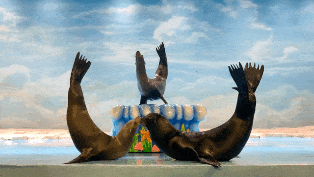 b1c8ceec94bb49ee91f9995795350c5d.gif