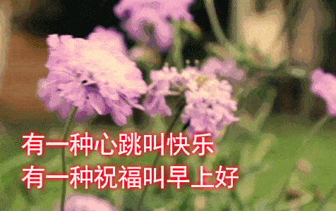 5月21日周五清晨早上好问候祝福动态表情图片