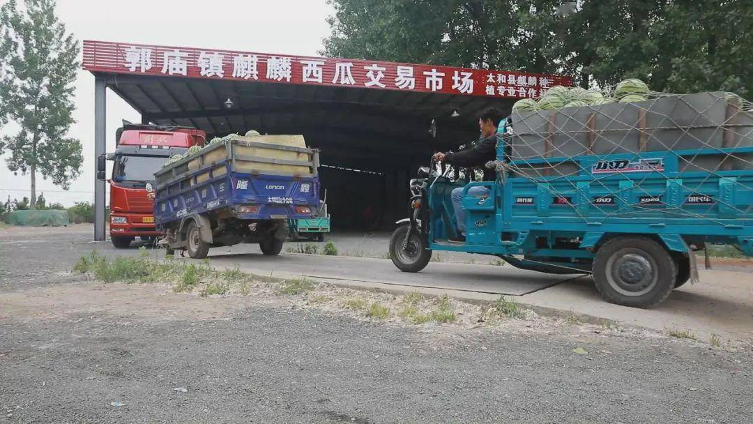 太和县郭庙镇2019经济总量_太和县双庙镇地图