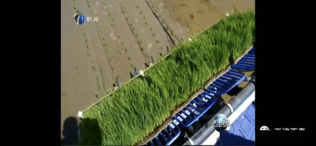 天津市王稳庄镇GDP_天津市西青区王稳庄镇