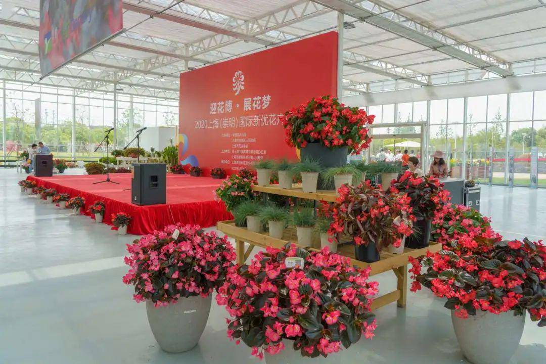 "迎花博 展花梦"——2020上海崇明国际新优花卉展在源怡智慧生态花卉