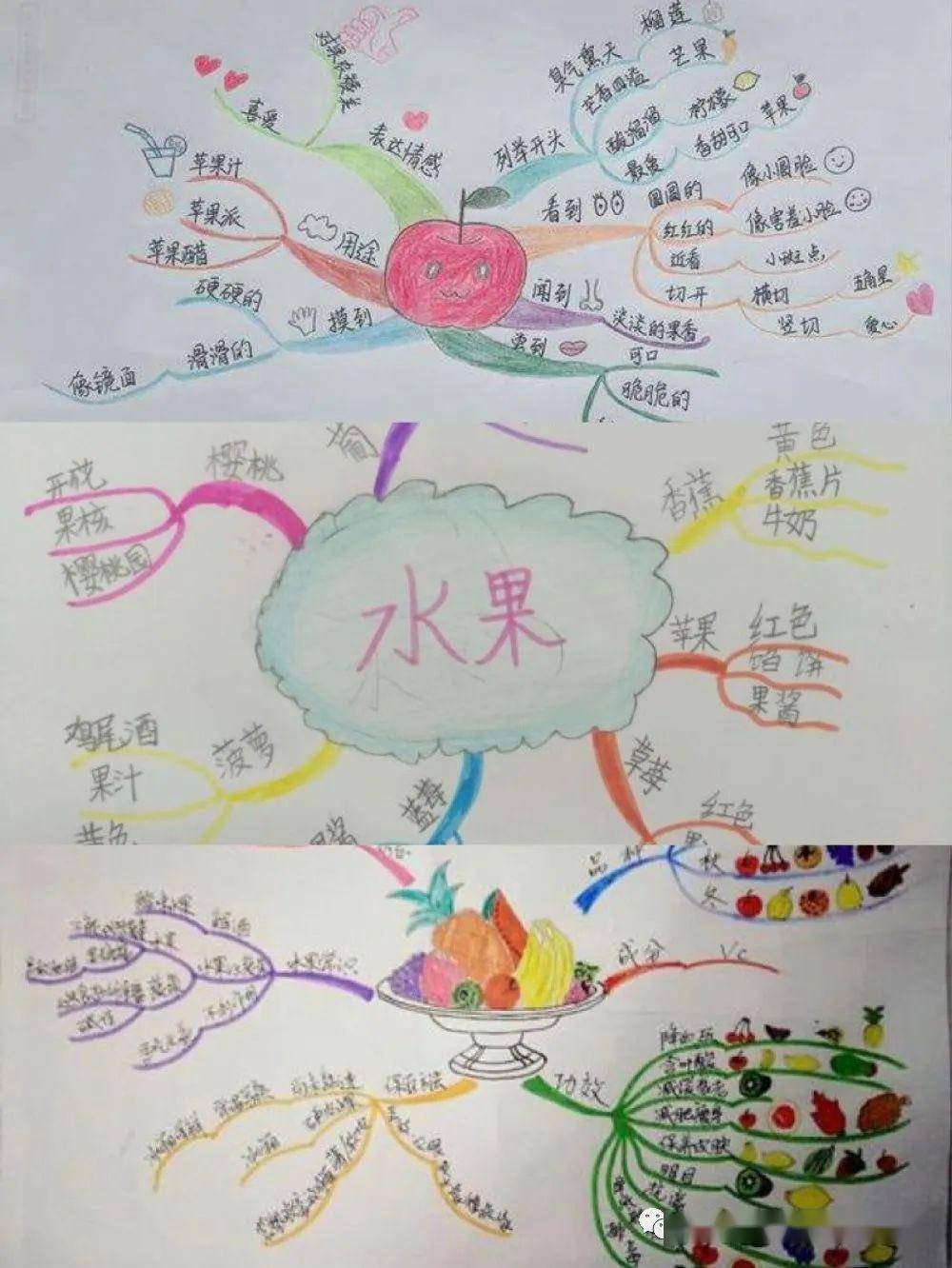 请观看我们绘制的思维导图吧.