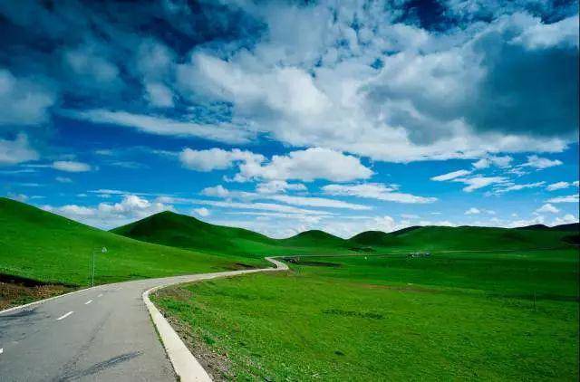 郎川公路拥有的是川西独特的风光—蓝天,白云,草原,牛羊,野花,海子