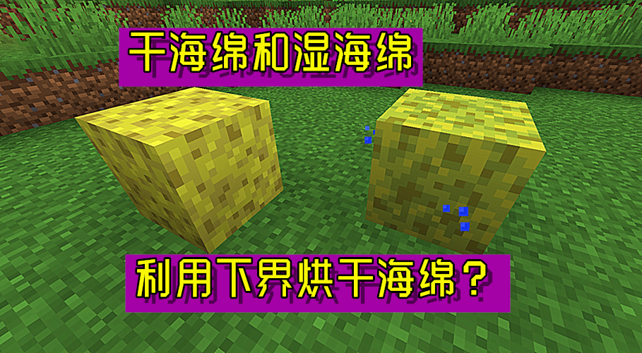 1d207d10be9e46af8435b197861d5812.png