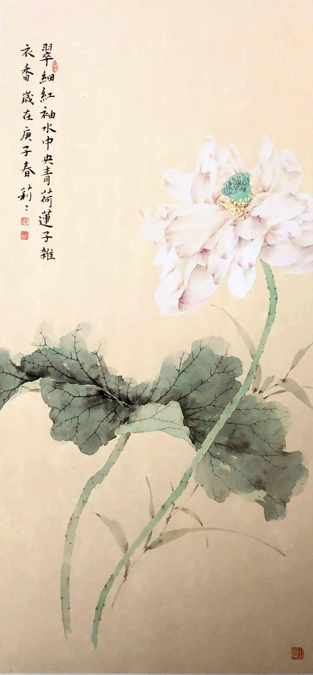 张莉莉没骨花卉宫扇技法班只需200元