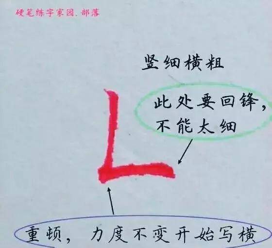 写得漂亮的硬笔字,有这些书写规律