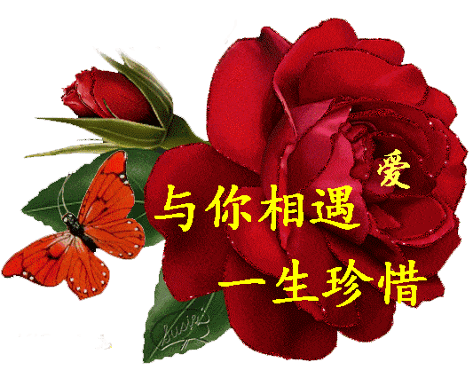 63695fbca5ff446e9b84d50ac3ed34c2.gif