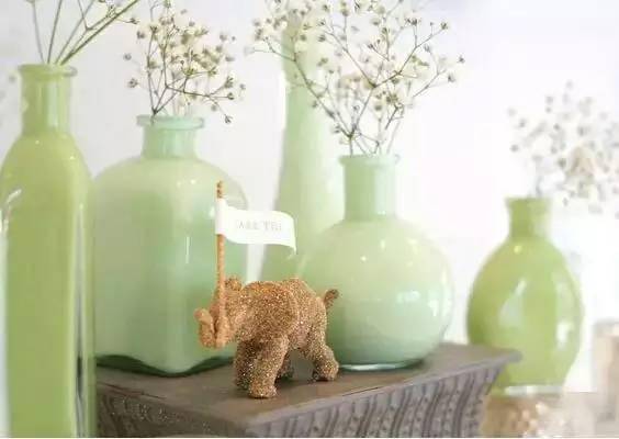 「植物」让种植成为孩子探索自然的起点！【植物角】60种植物角新玩法