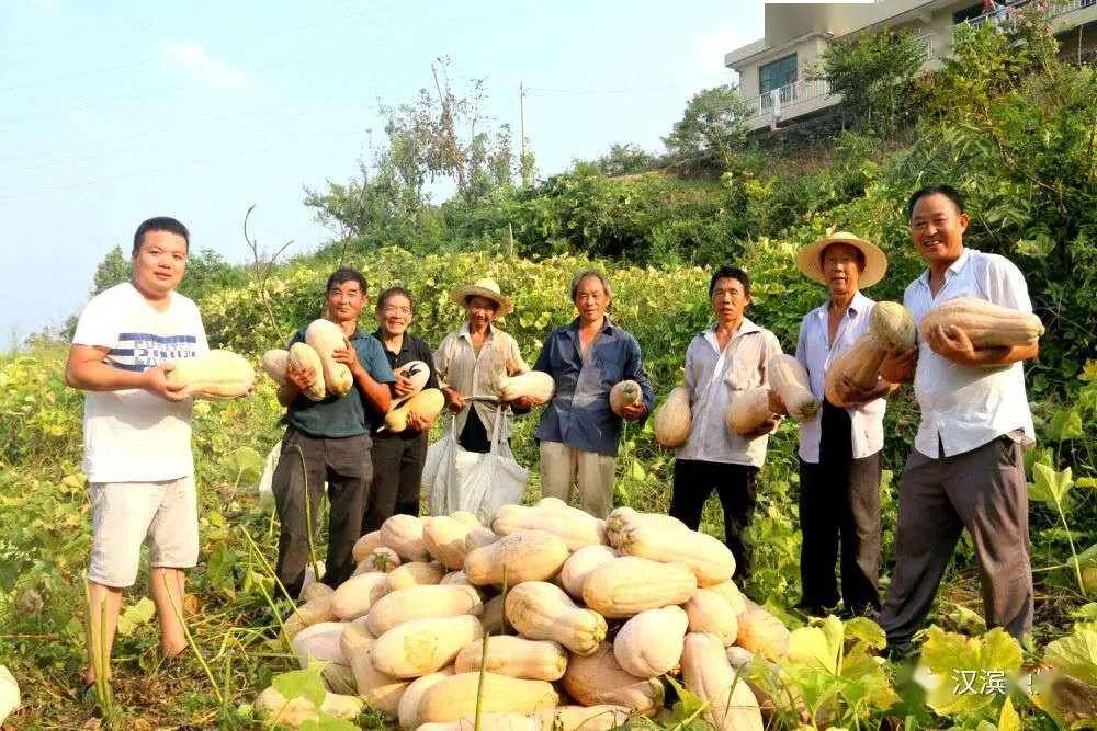 汉滨区贫困户人口名单_汉滨区区长范传斌照片