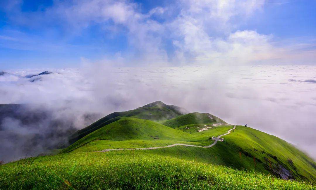 全球最大高山草甸不在内蒙古也不在新疆夏季最高温度仅23