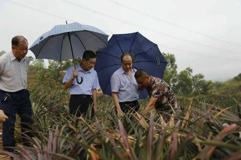 陆丰市关工委实地调研陂洋镇农村创业青年示范基地