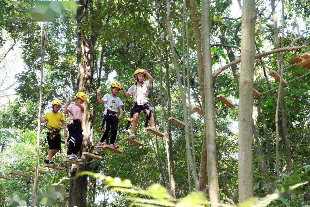 广西·高峰森林公园:南宁首座玻璃悬廊震撼全城,5月29日起盛大迎客!