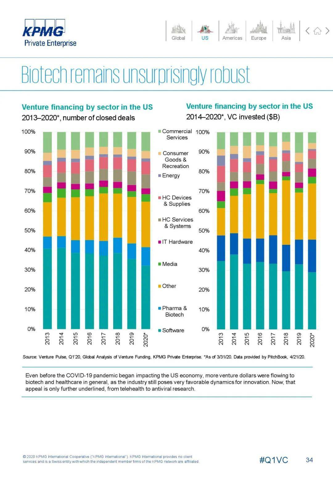 2020英国国第一季度g_英国短毛猫