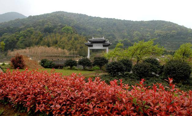 生物多样性专栏11北仑区瑞岩寺森林公园