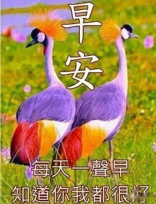 5月23日最漂亮早上好动态表情图片大全,早晨好动图美图大全