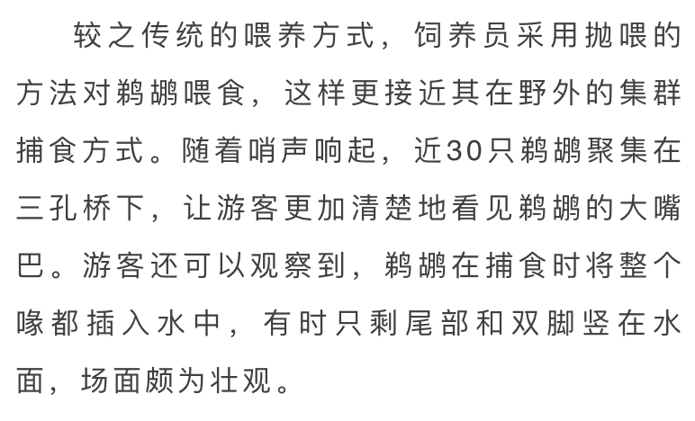 饲养员简谱_饲养员卡通(2)