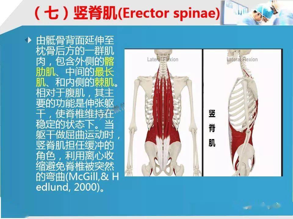 核心肌群理论基础,功能,属性及训练方法