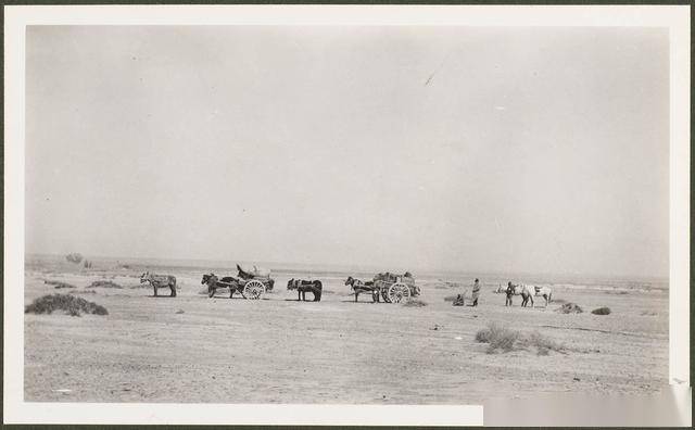 1910年甘肃安西县[今瓜州]老照片 百年前瓜州乡野景象(图8)