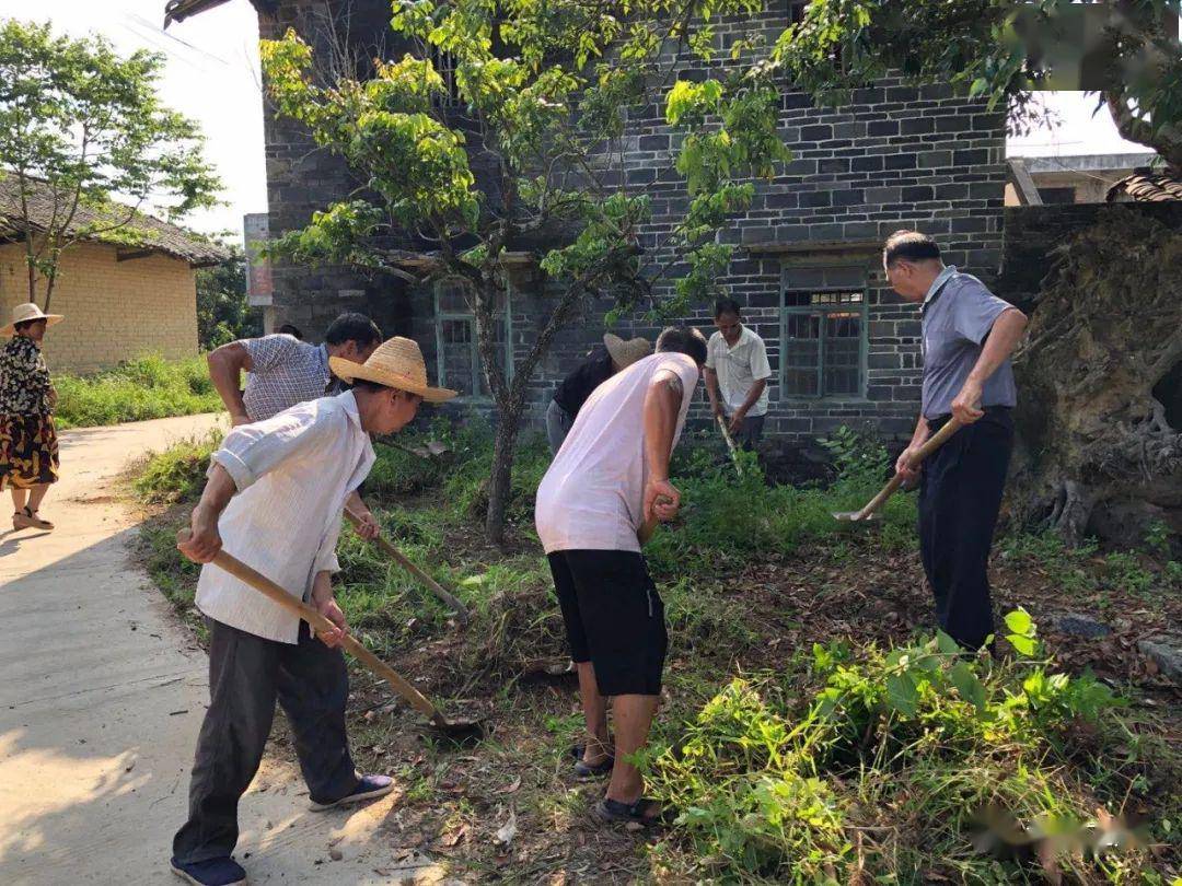 北通镇清湖村党员群众在行动美丽来自付出与努力越来越美的家乡让人