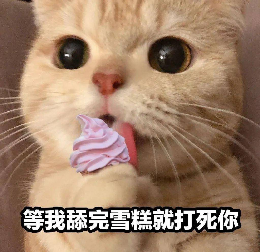 原来这只橘猫是个网红啊专属表情包来袭