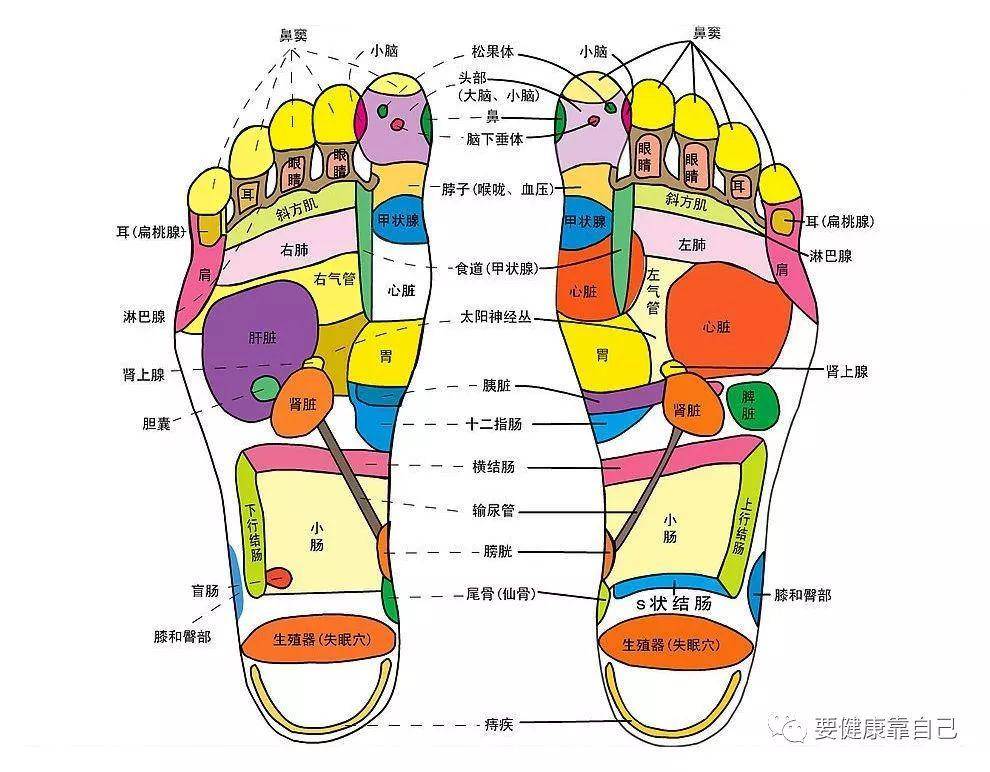 甲状腺功能减退症的治疗