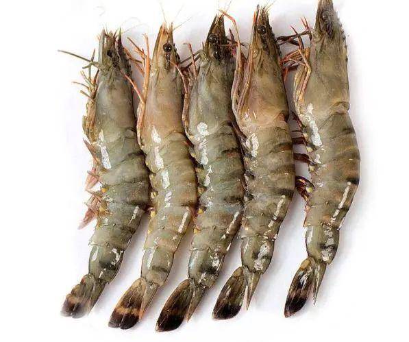 优质蛋白质食物排行榜 图文 4b2650967cc9492385e3c66f5aa20263.jpeg