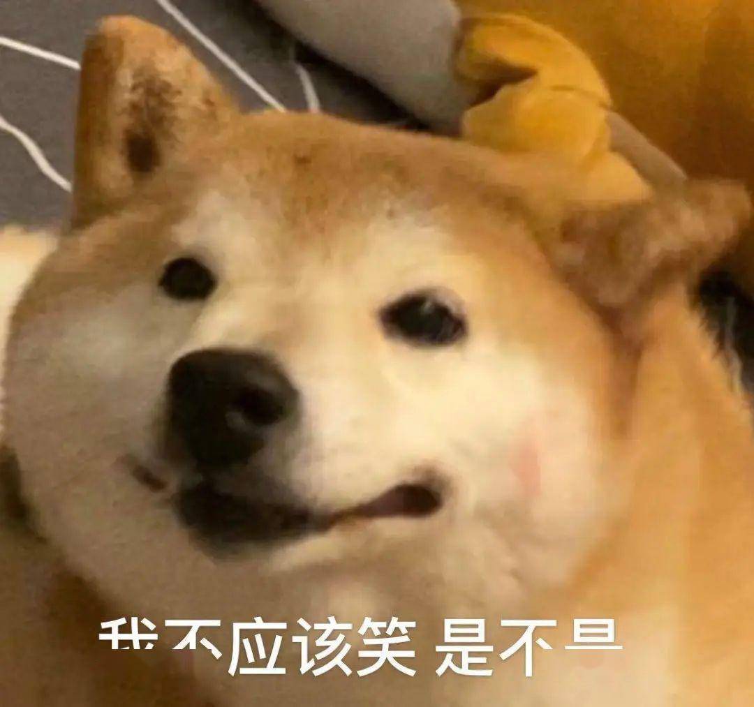 91dfeed750754dbebd8365aa1ec35ebe.jpeg