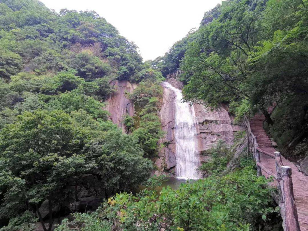 【关注】免门票!嵩县木札岭向全国游客实行优惠政策!更有