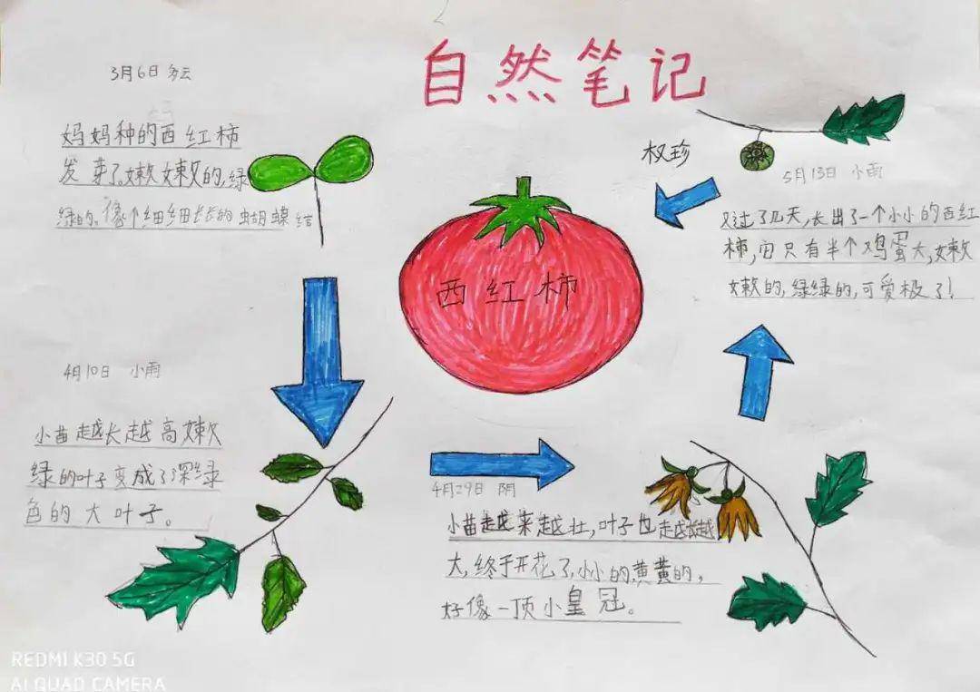 自然笔记我与自然的相遇第六波入围作品