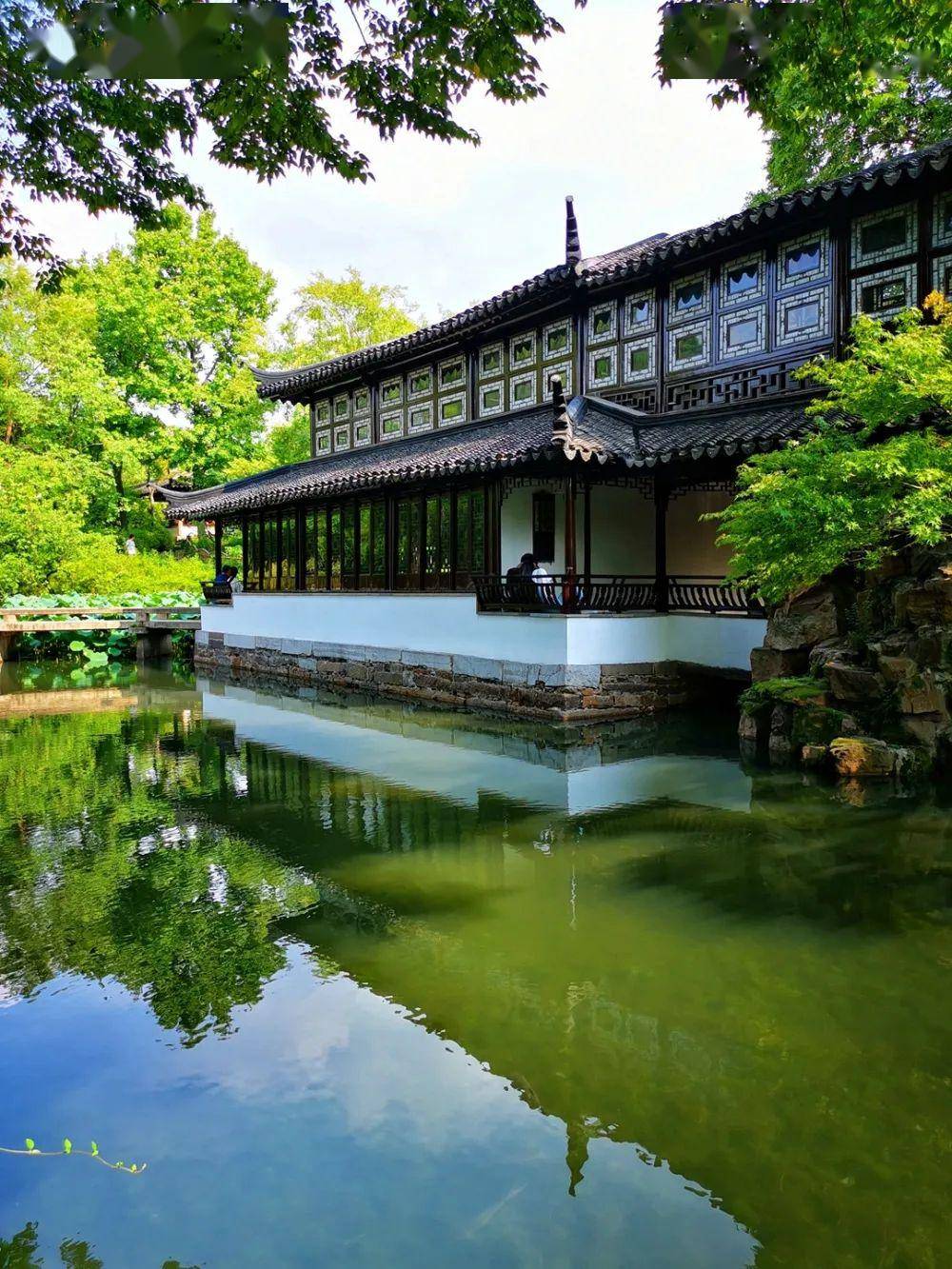 波哥带你看世界:世界文化遗产苏州古典园林,匠心独具的中华园林文化