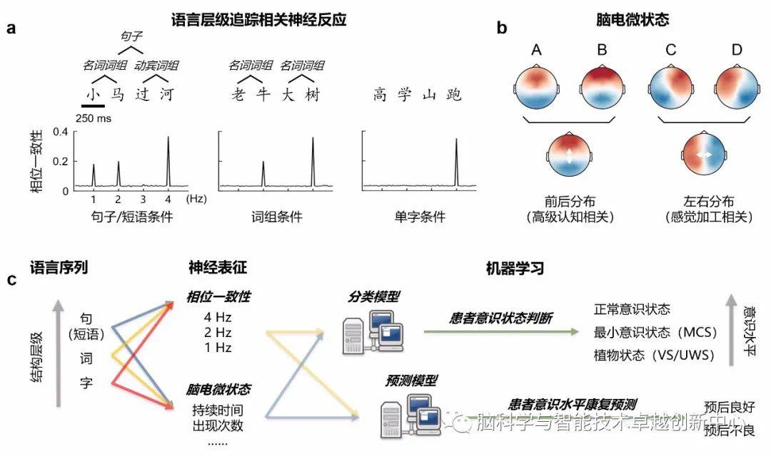 c语言人口_c语言代码图片(3)