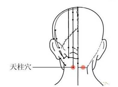 7,颈夹脊穴