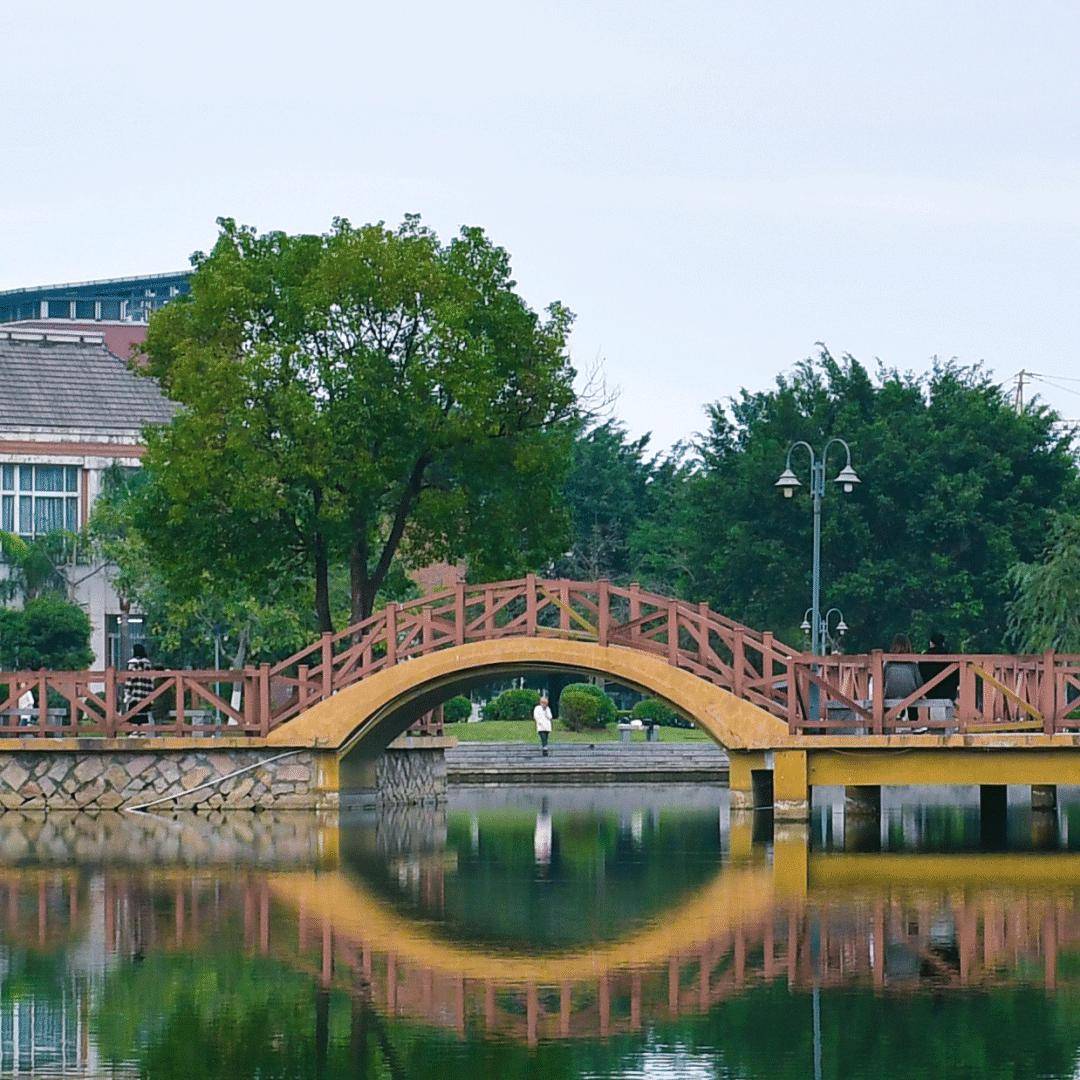 星雨湖当仁不让一入师大门,一生师大人昔日寒窗苦读福建师范大学金光