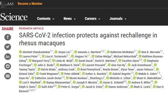新冠病毒研究最新发现（重磅）| science揭示sars-cov-2感染可以保护恒河猴不被再次感染